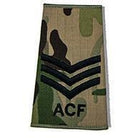 Adult Volunteer ACF Rank Slide in Multicam MTP | Ammo & Company | Embroidered Badges