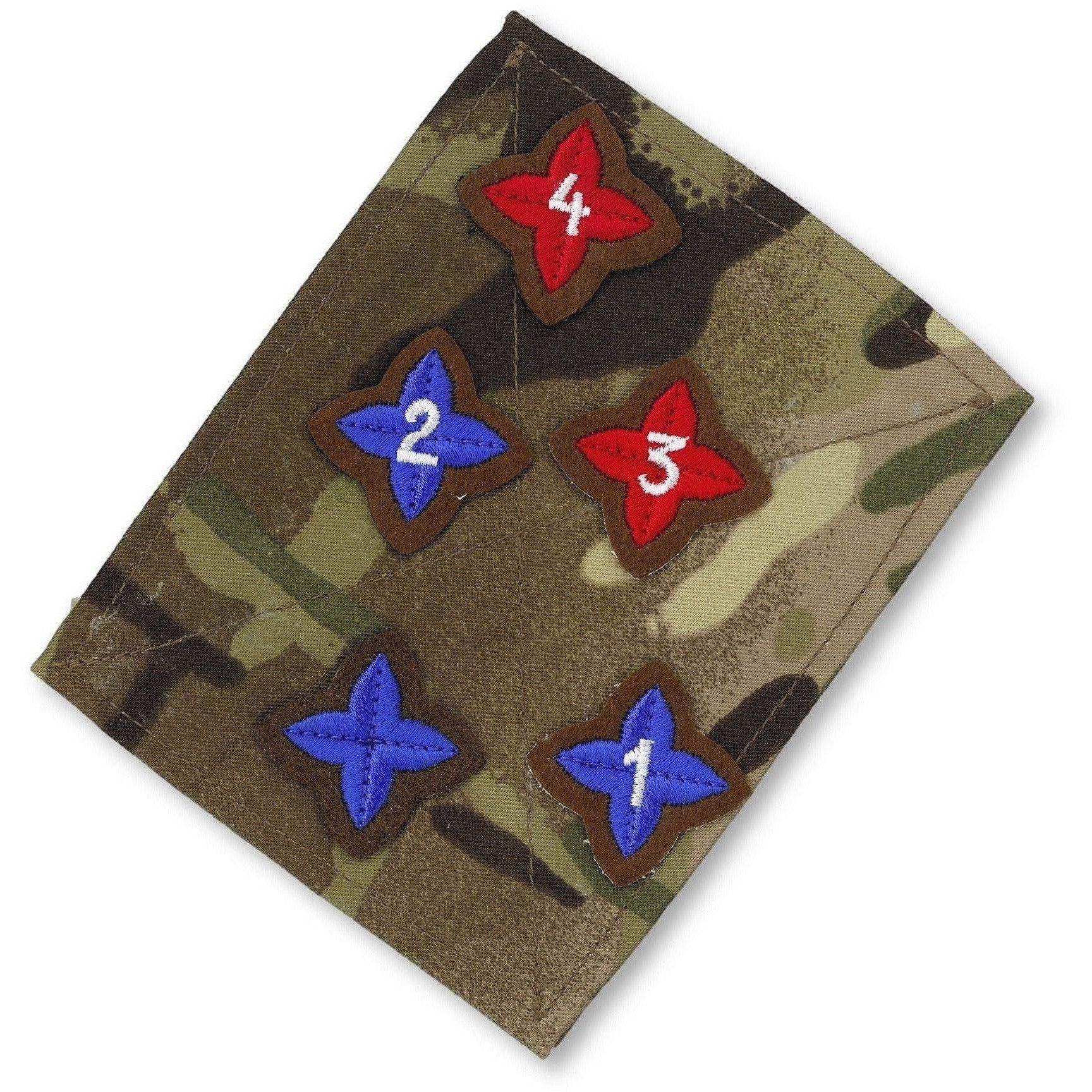 The ACF Award Training Badges (Per 10)-Cadet Force Badges-Cadet Kit Shop-Basic-Cadet Kit Shop