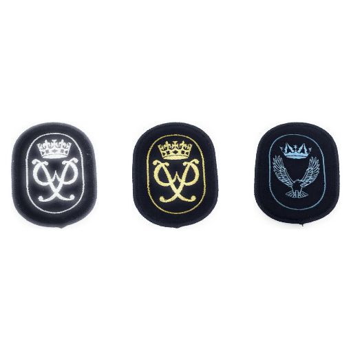Picture of Air Cadet DofE Award Scheme Badge
