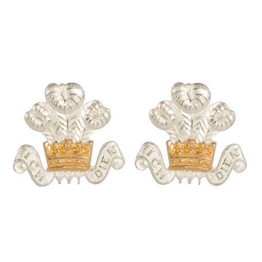 Picture of The King's Royal Hussars Silver No2 Dress Collar Badge - Spike & Clutch - Pair