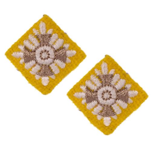 Picture of The Royal Lancers Yellow Star - Brown/Cream - Pairs