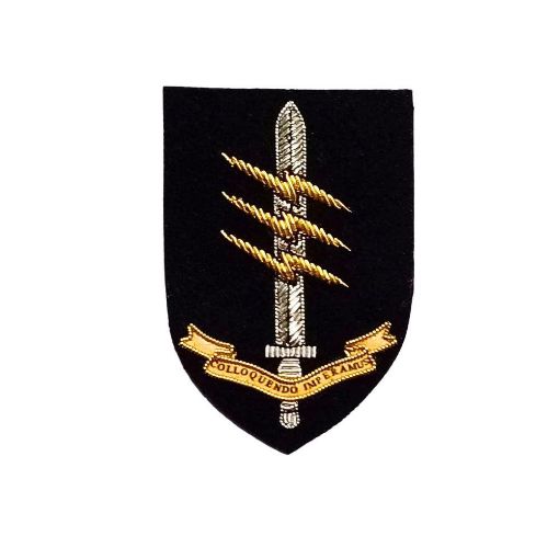 Picture of 18 Signal Regiment SF Communicator Beret Badge - Embroidered