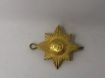 Picture of The Irish Guards Cap Badge - Brass
