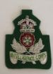 Picture of Intelligence Corps Beret Badge - B/W - Green background - Tudor Crown