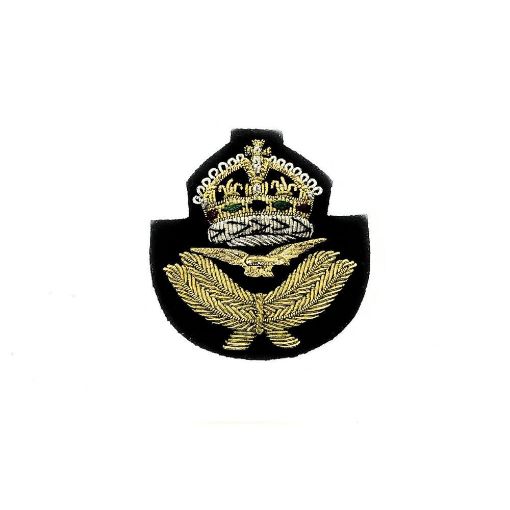 Picture of RAF Beret Badge - Navy Backing - Tudor Crown