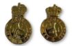 Picture of ACF No1 Dress - Collar Badges - Gilt Plate - Shank & Pin Fitting - Tudor Crown - Pair