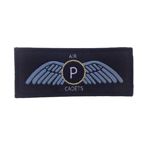 Picture of Air Cadets Pilot Scholarship ACPS - Gold Wings - Merrow Border - Paper Backing