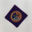Picture of CCF Army Section Cadet Adult Volunteer Flash - 50 x 50mm - Pack of 5