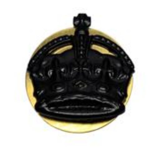 Picture of Metal Crown WO2 (CSM) - Brass with Back Plate - Shank Fitting - Tudor Crown - Black