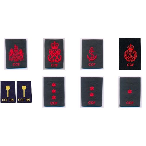 Picture of RN CCF Rank Slides