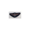 Picture of Air Cadet Bronze ATP Gilding Wings Badge - Bronze Wings - Merrow Border - Paper Backing