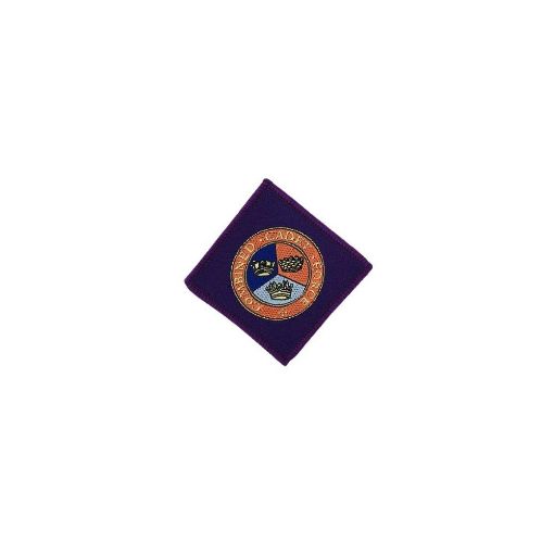 Picture of CCF Army Section Cadet Adult Volunteer Flash - Pack of 5